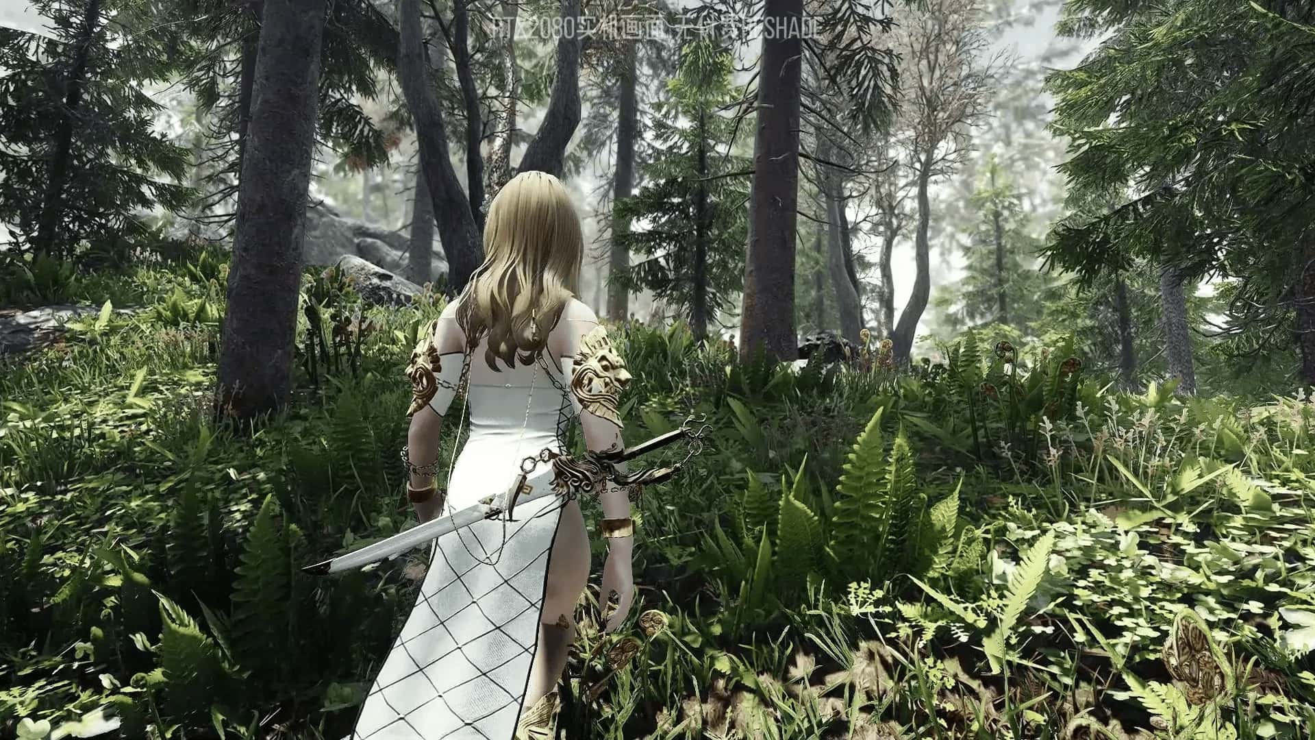 上古卷轴5 星黎SamuRai版 完整整合最新版游戏封面